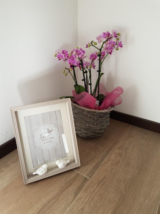 Masetto Egidio Eco-Agritur Villa Strigno Ngoại thất bức ảnh