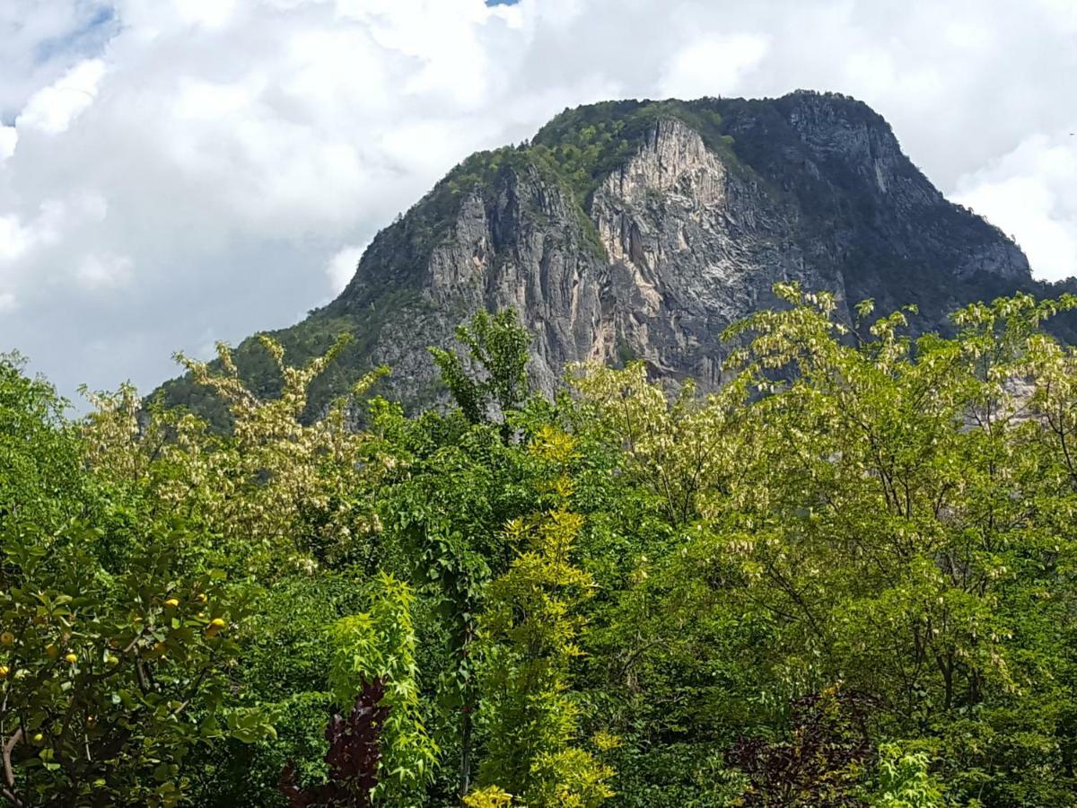 Masetto Egidio Eco-Agritur Villa Strigno Ngoại thất bức ảnh